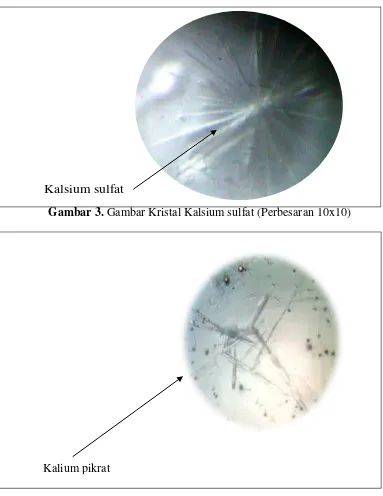 Gambar 4. Gambar Kristal Kalium Pikrat (Perbesaran 10x10) 
