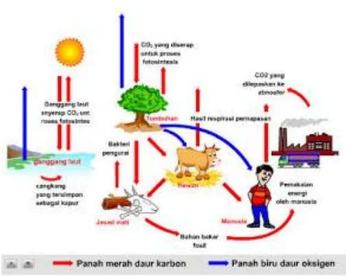 Gambar 4.2 Siklus karbon dan Oksigen 