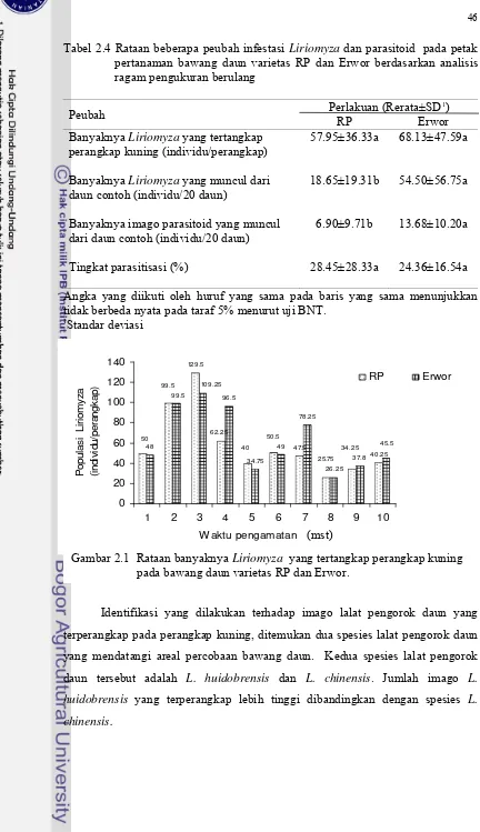 Tabel 2.4 Rataan beberapa peubah infestasi Liriomyza dan parasitoid  pada petak pertanaman bawang daun varietas RP dan Erwor berdasarkan analisis ragam pengukuran berulang 