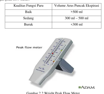 Gambar 2.2 Wright Peak Flow Meter 