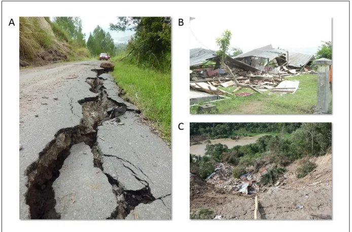 Gambar 3. Peta Intensitas Gempa bumi Aceh Tengah pada 2 Juli 2013 (Baheramsyah dkk., 2013)