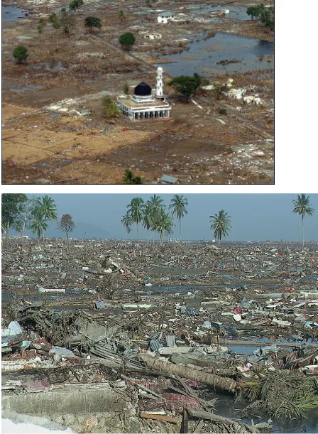 Gambar :  http://www.kabarpolitik.net/2012/02/tragedi-tsunami-aceh-paling-hebat-di-dunia-pada-abad-ke-21.html