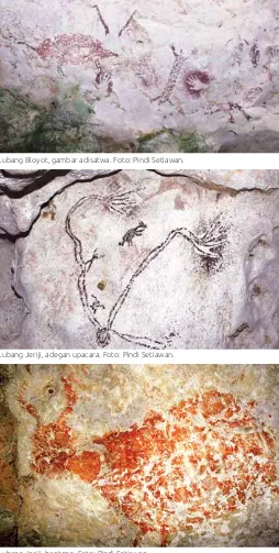 gambar di Sangkulirang merujuk pada masa 9.800 tahun 