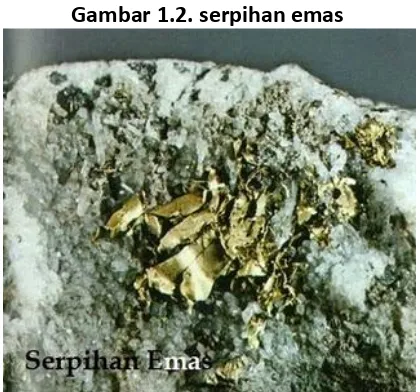 Gambar 1.2. serpihan emas 