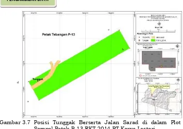 Gambar 3.7 Posisi Tunggak Berserta Jalan Sarad di dalam PlotSampel Petak P-13 RKT 2014 PT Karya Lestari