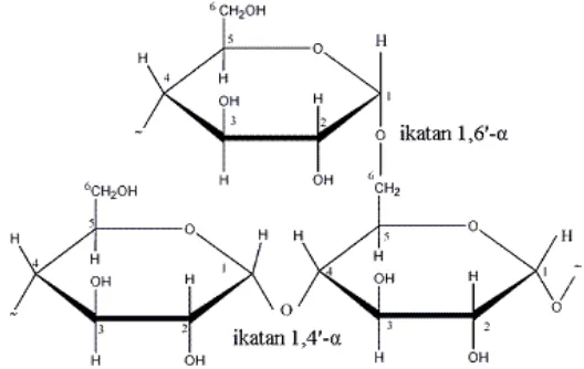 Gambar 2.6 Struktur Amilopektin ( Sastrohamidjojo, 2005). 