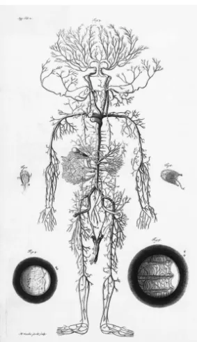 Figure 2.5William Cowper, Anatomy of Humane Bodies, Appendix 3.