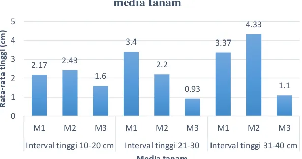 Gambar 6 Respon pertumbuhan tinggi terhadap perbedaan media tanam 