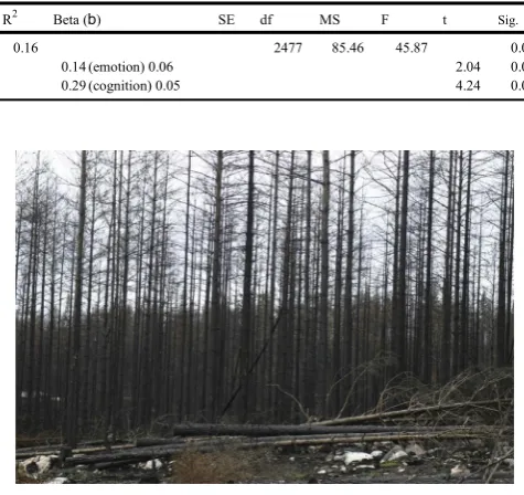 Fig. 2. Area after the fire.