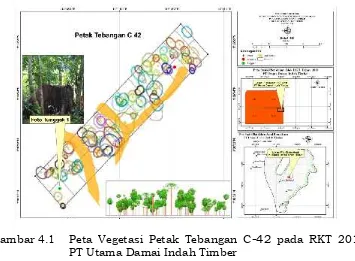Gambar 4.1Peta Vegetasi Petak Tebangan CPT Utama Damai Indah Timber