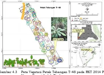 Gambar 4.3Peta Vegetasi Petak Tebangan TUtama Damai Indah Timber