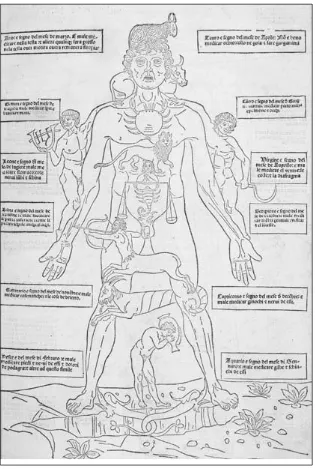 figure 2.  Homo signorum, or zodiac man, from Johannes Ketham, Fasciculo de medicina in vulgare (Venice: Giovanni and Gregorio de Gregori da Forlì, February 5, 1493/94)