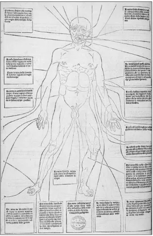 figure 3.  Homo venorum, or vein man, from Johannes Ketham, Fasciculo de medicina in vulgare (Venice: Giovanni and Gregorio de Gregori da Forlì, February 5, 1493/94)