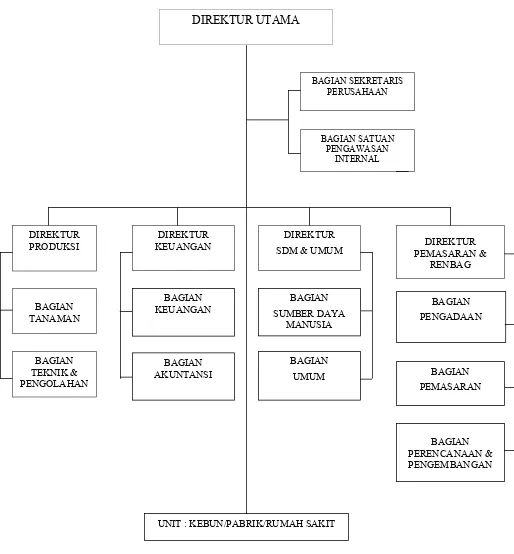 Gambar 4.1. Struktur Organisasi Kantor Pusat PT Perkebunan Nusantara I (Persero) Langsa4.1.1.4