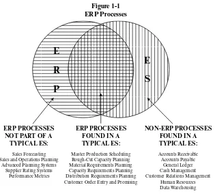 Figure 1-1ERP Processes