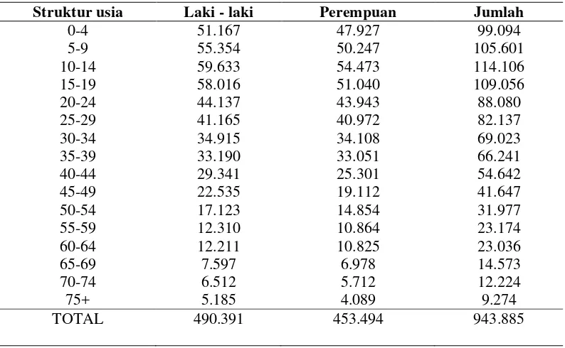 Tabel 8.  Struktur penduduk Kabupaten Lampung Selatan, tahun 2011 