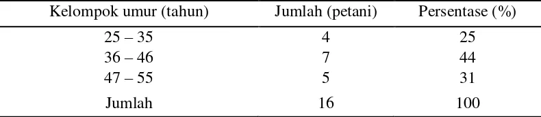 Tabel 13.  Sebaran responden petani cabai merah ramah lingkungan berdasarkan                   umur di Kabupaten Lampung Selatan, tahun 2012 