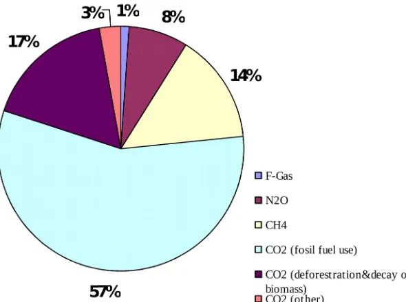 Gambar 3. Emisi Gas Rumah Kaca Dunia Tahun 2004 Berdasarkan KandunganGas Sumber: IPCC (2007) 