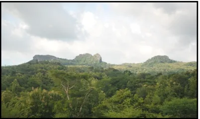 Gambar 2. Bentang alam bergelombang di bagian barat dan utara Desa Pitay �