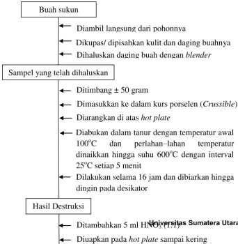 Gambar 5. Buah sukun sangat matang 
