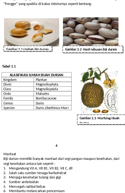 Gambar 2.1 Limbah biji durian