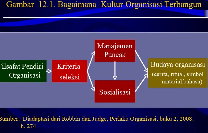 Gambar  12.1. Bagaimana  Kultur Organisasi Terbangun