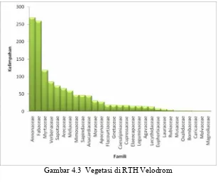 Gambar 4.3  Vegetasi di RTH Velodrom