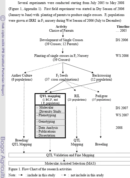 Figure 1. Flow Chart of the research activities 
