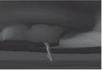FIGURE 27.32Thousands of particles show the shape of a tornado. (Courtesy of Matthew Arrott.)