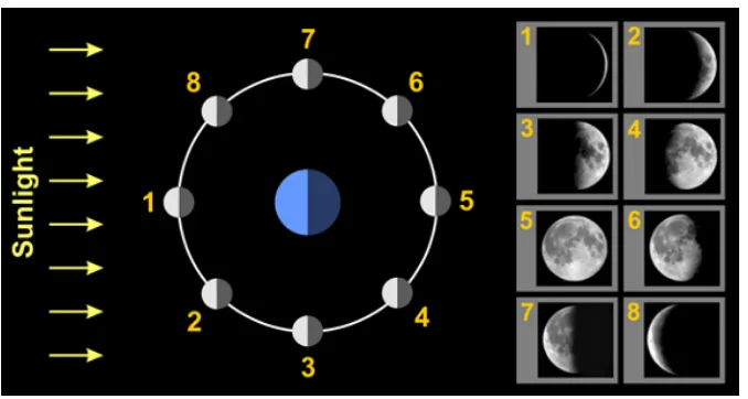 Gambar 8. Fase-fase Bulan 