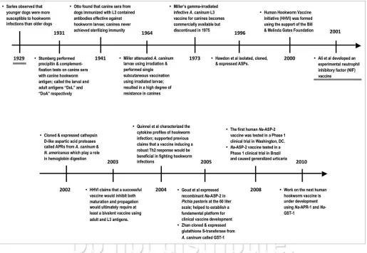 Figure 2. A century of parasitology that has led to the successful industrial-scale development of a canine hookworm vaccine and the experimental testing of a human hookworm vaccine.