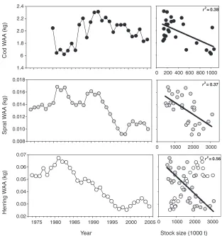 FIGURE 18.10Time trends in mean weight at age (WAA) of cod (ages 4–7), sprat and herring (ages3–5), and results of regression analyses WAAversus stock size (black dots: cod, grey dots: sprat, whitedots: herring); linear regressions significant at the 5% level.