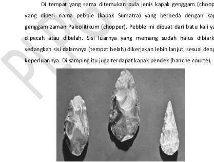 Gambar 1.6. Pebble Kapak Genggam Sumatera 