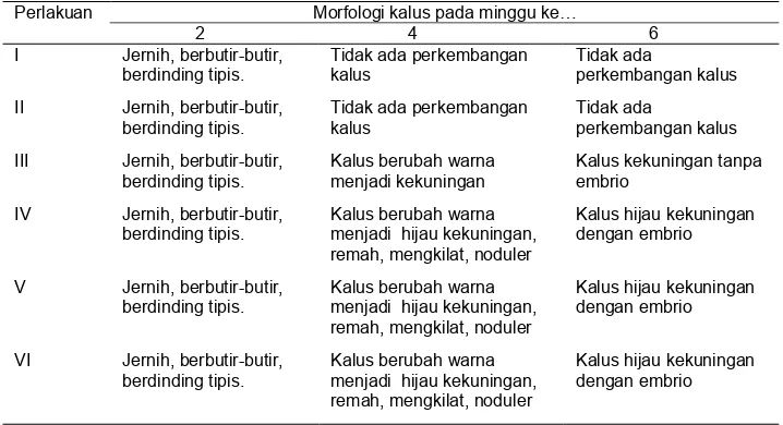 Tabel 2. Morfologi kalus pada medium dengan perlakuan NAA dan tanpa NAA pada minggu ke-2, 4 dan 6