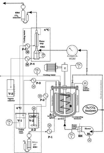 Fig. 2. Experimental apparatus of co-composting.