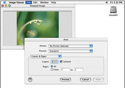 Figure 3.28 shows the running standalone Image Viewer application with a displayed image and a standard Print panel accessed from the File, Print menu item.