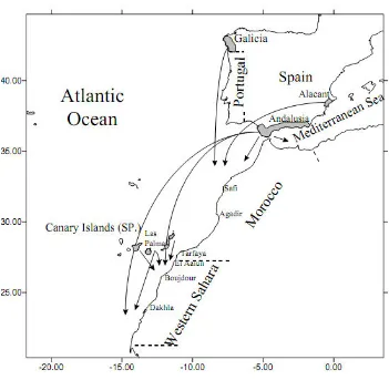 Gambar 3.2 Daerah Operasi Penangkapan Ikan Nelayan Spanyol di Perairan Maroko Sumber: Ana Barreira et al, op.cit., hlm