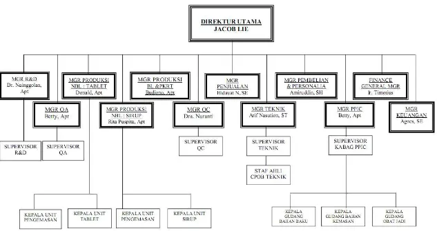 Gambar 2.2. Struktur Organisasi PT. MUTIFA 