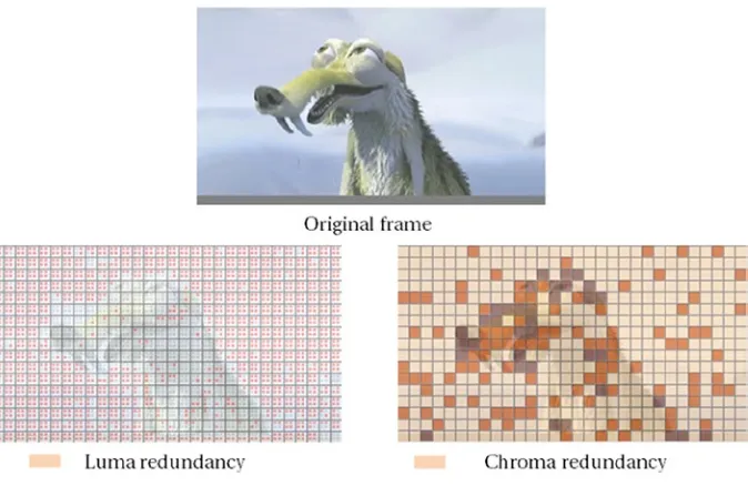 Figure 2-9. An example of spatial redundancy in an image or a video frame