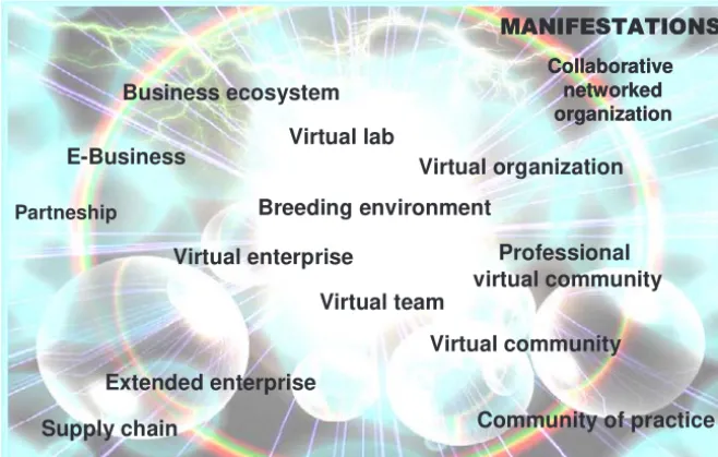Figure 1 – Some “manifestations” of collaborative networks 