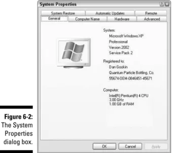 Figure 6-2: The System Properties dialog box.