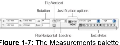 Figure 1-7: The Measurements palette