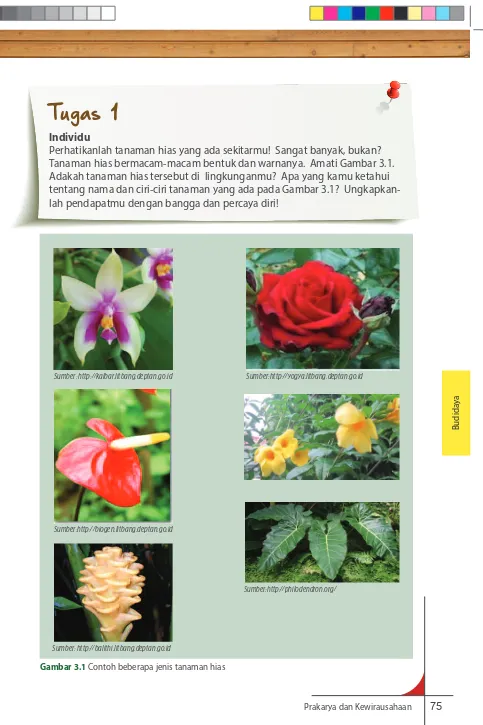 Gambar 3.1 Contoh beberapa jenis tanaman hias