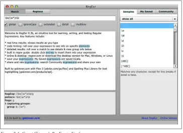 Figure 2-1. Grant Skinner’s RegExr in Firefox