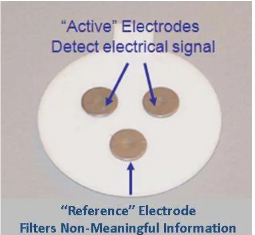 Gambar 2.4 Elektroda Penyadapan Sinyal (Terecia, 2005) 