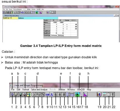 Gambar 3.4 Tampilan LP-ILP Entry form model matrix 