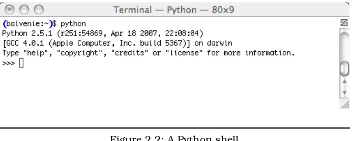 Figure 2.2: A Python shell