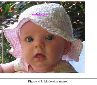 Figure 4.7: Madeleine named