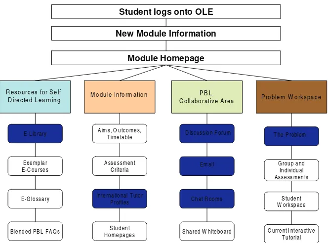 Figure 1. Schema of the international dimension to the designing e-learning module