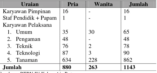 Tabel 2.1.  Jumlah Tenaga Kerja PTPN IV Kebun Air Batu 